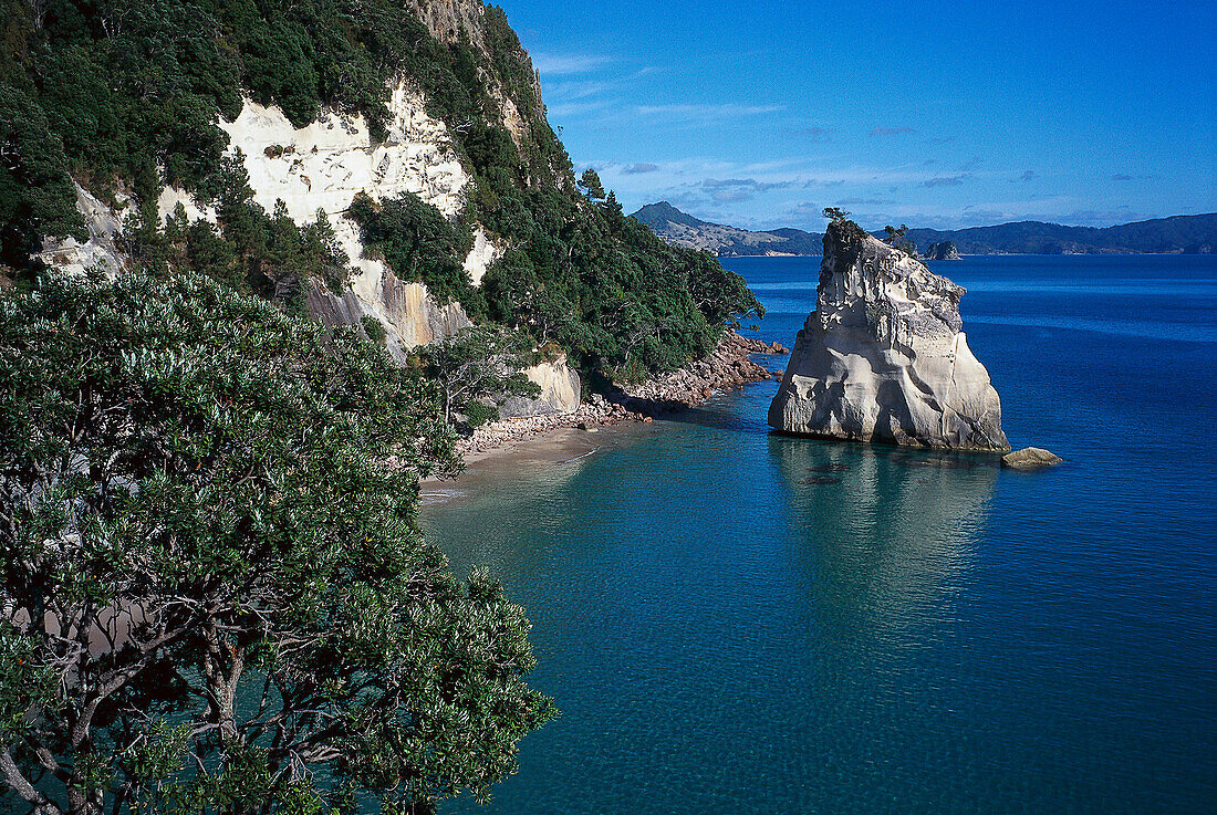 Cathedral Cove near Hahei, Coromandel Peninsula, North Island New Zealand