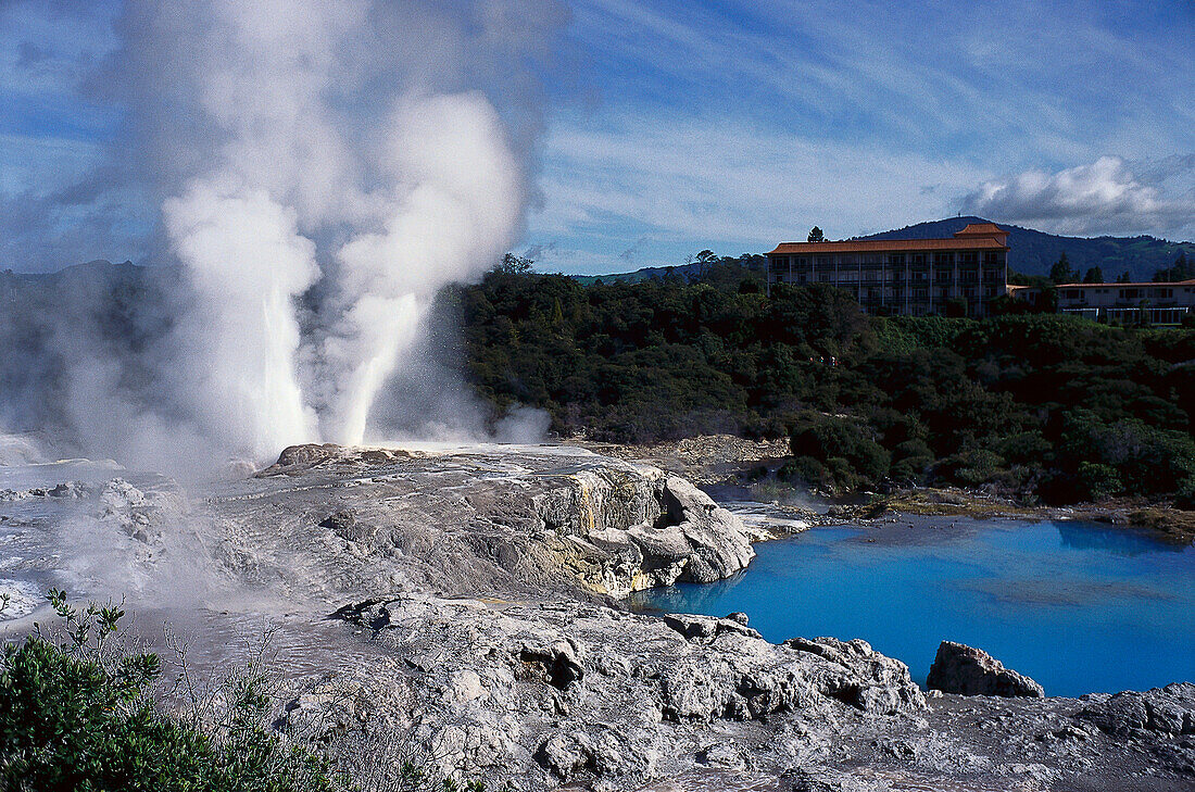 Pohutu Geyser, Whakarewarewa Reserve, Rotorua , North Island New Zealand