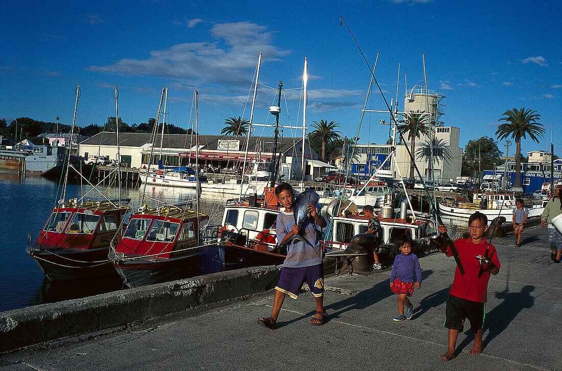 Catch of the Day, Gisborne, Wharf Gisborne, Hawkes Bay, North Island New Zealand