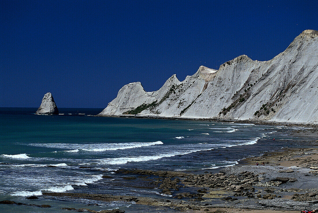 Gannet Colony, Cape Kidnappers, Hawke' s Bay, North Island New Zealand