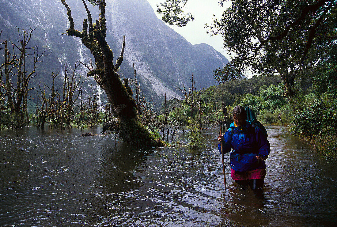 Hiker, Milford Track, Fiordland National Park, South Island, New Zealand