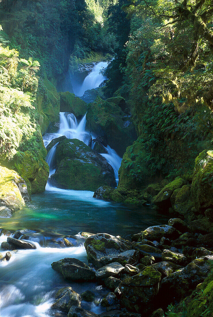 Mackay Falls, Milford Track, Fiordland NP, South Island New Zealand