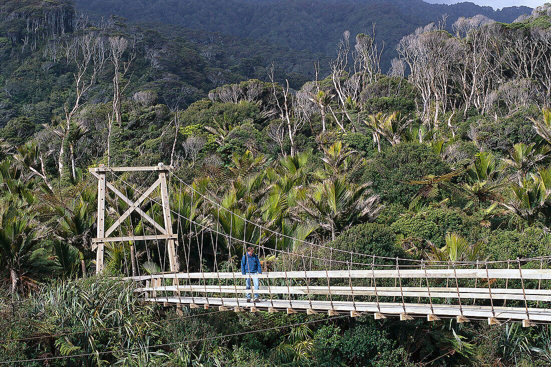 Kohai River Bridge, Heaphy Track, Kahuragni National Park , South Island New Zealand