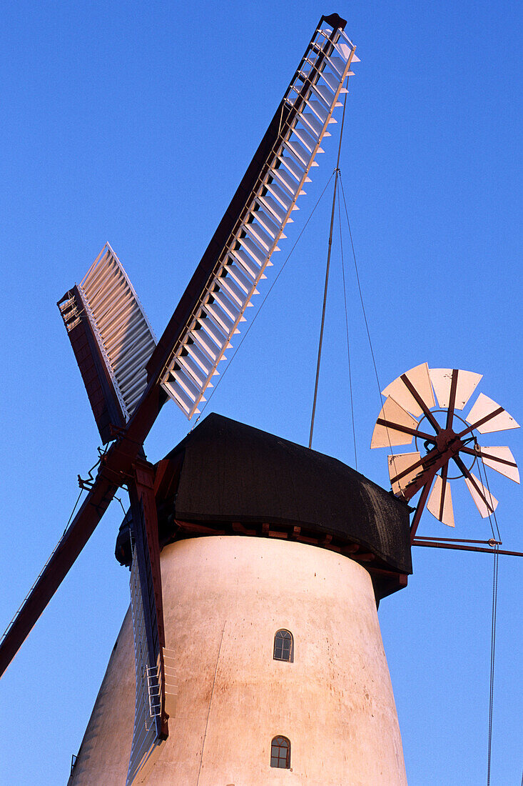 Windmühle von Düppel, Dybbol Molle, Sonderborg, Süd Jutland, Dänemark