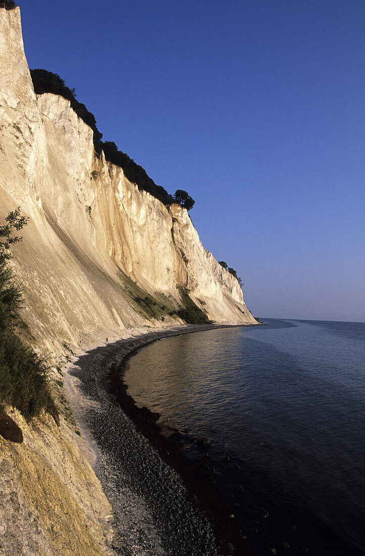 Mons Klint Chalk Cliffs, Mons Klint, Mon, Denmark