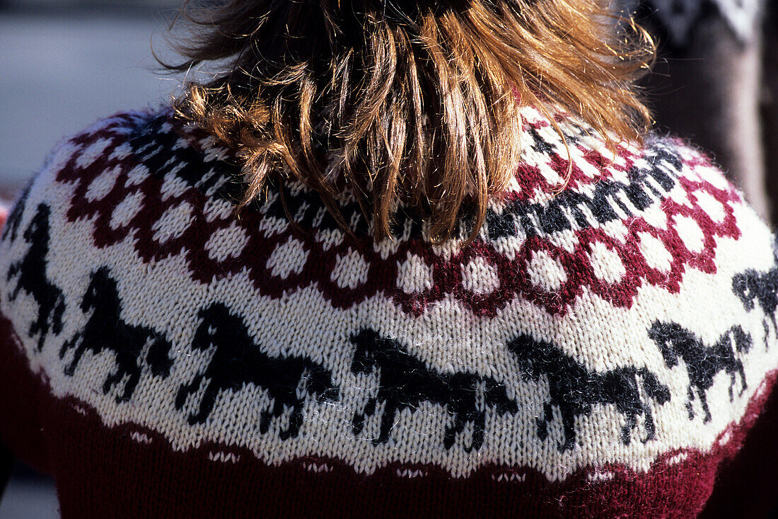 Icelandic Horse Sweater, Ísafjörður, Isafj'rdur, Ísafjarðarbær, Iceland