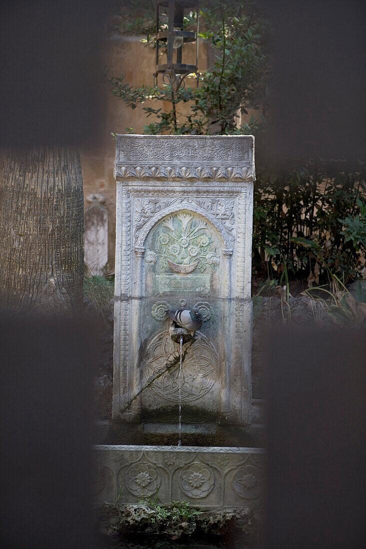 Pigeon on Fountain, view through gate, old town, Rhodes, Dodecanese Islands, Greece