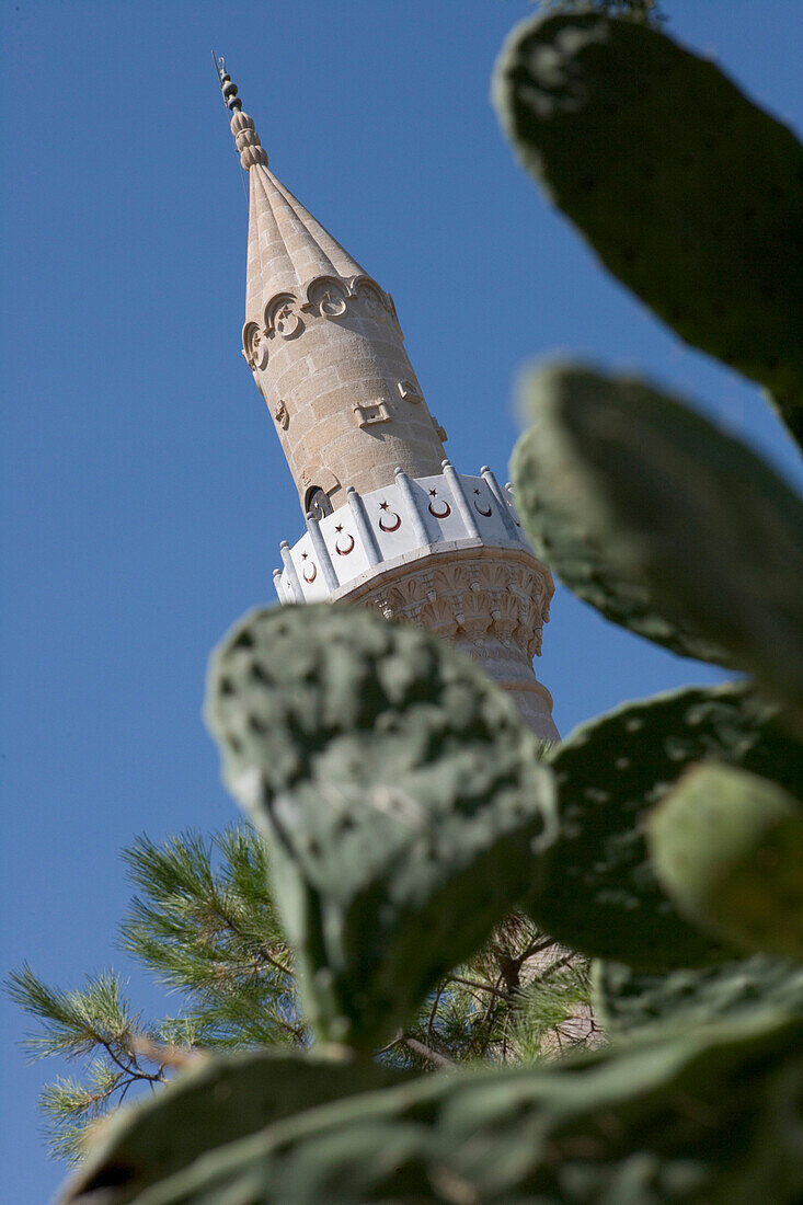 Kakteen vor Minarett, St. Peter's Schloss, Bodrum, Türkische Ägäis, Türkei