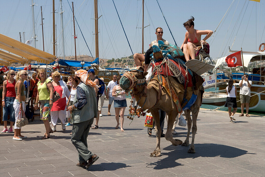 Zwei Touristen reiten Kamel, Bodrum, Türkische Ägäis, Türkei