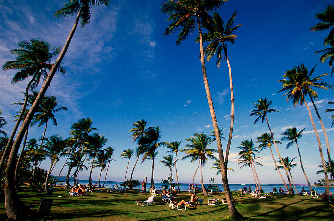 Sky, People, Palm Trees, Casa Marina Bay Resort in Las Galeras, Dominican Republic