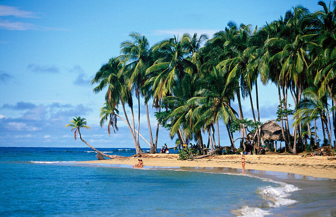 Palmenstrand, Playa Bonito in Las Terrenas, Dominican Republic, Antillen, Karibik