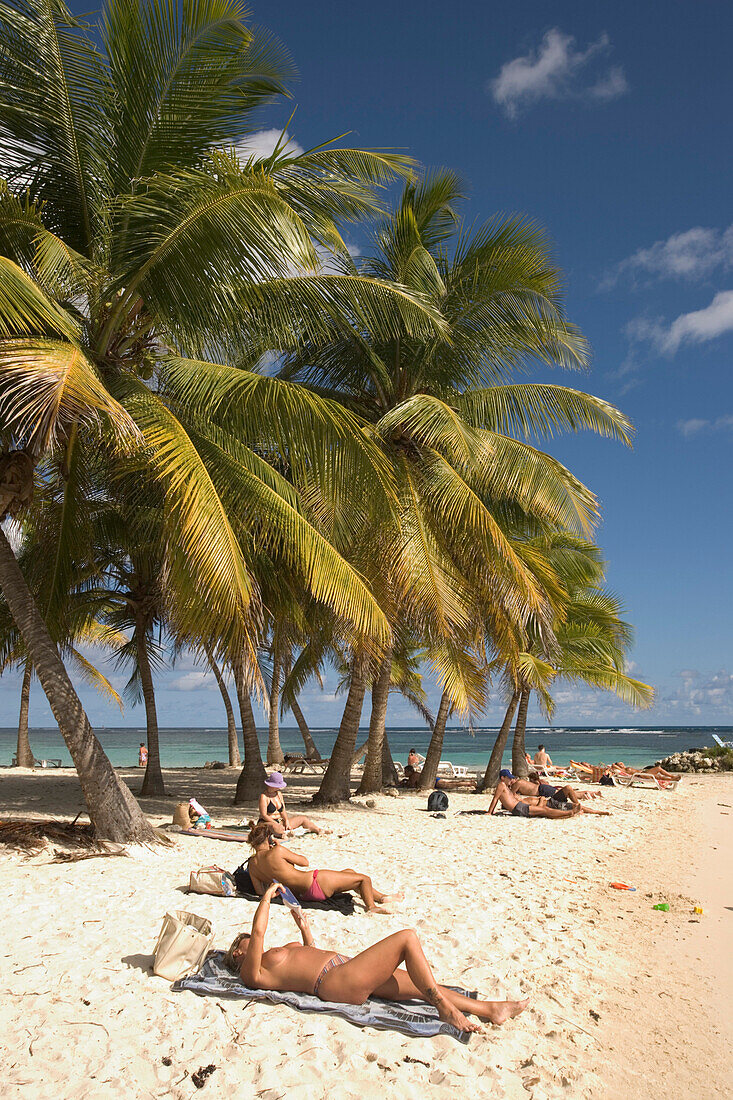 Beach, Lying, Skin, People, Palm Trees, People sunbathing on Caravelle Beach, Club Med, Sainte-Anne, Grande-Terre, Guadeloupe, Caribbean Sea, America