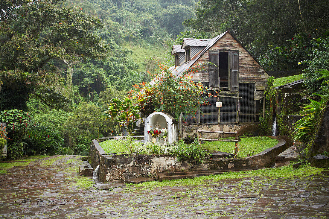 Haus mit Garten auf einer Kaffeeplantage, La Griveliere, Kaffee Plantage, Maison de Café, Vieux-Habitants, Karibik, Amerika