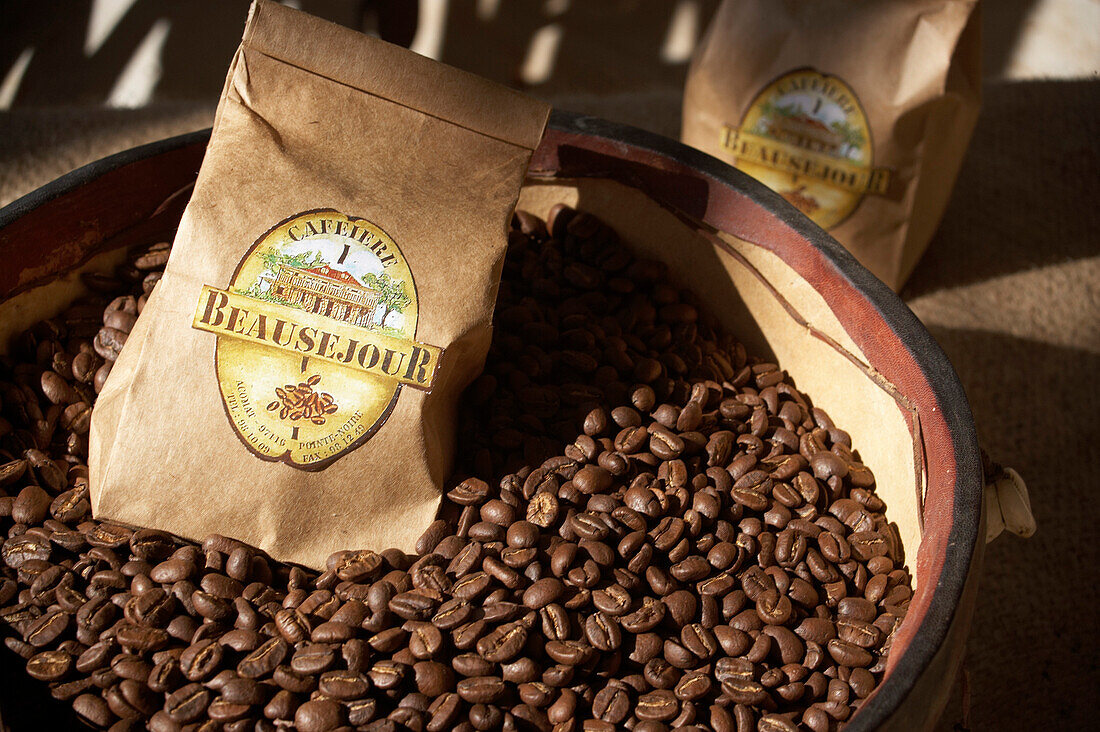 Bowl, Filled, Coffee Beans, Cafeiere Beausejour, Cafeiere Beausejour, Pointe-Noire, Basse-Terre, Guadeloupe, Caribbean Sea, America