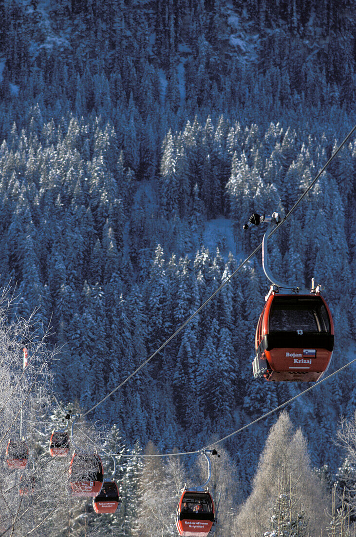 Hahnenkammbahn, cable car in front of snowy forest, Kitzbuehel, Tyrol, Austria, Europe