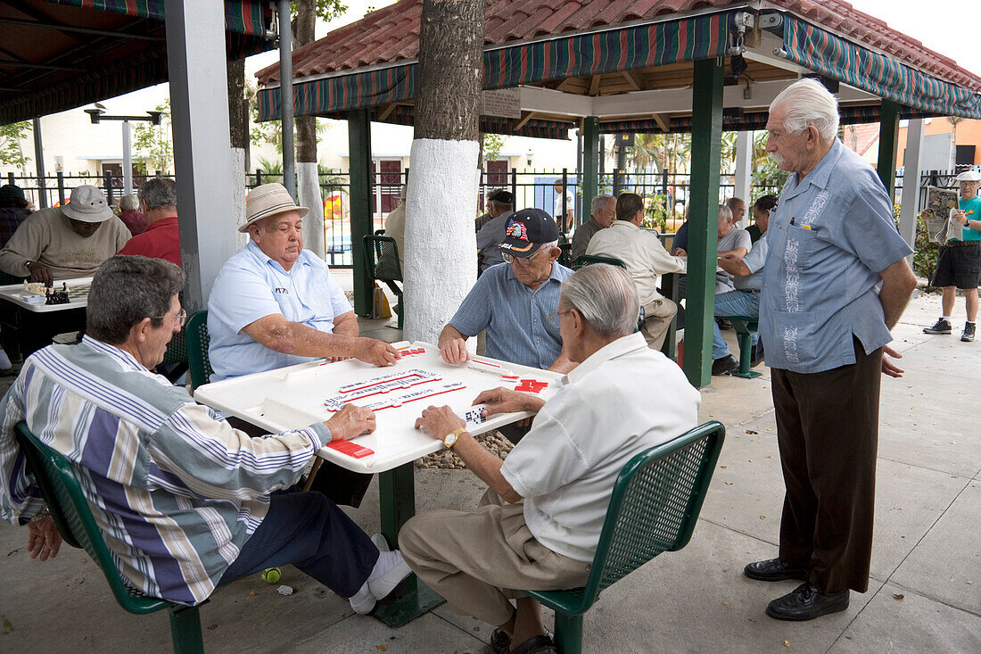 Mature men playing Domino at Cuban Social Club, Calle Ocho, Little Havana, Miami, Florida, USA, America
