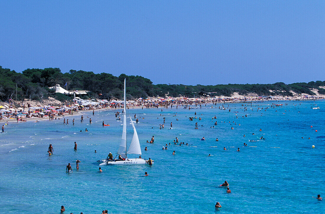 Strand, Platja de ses Salines, Ibiza, Balearen, Spanien