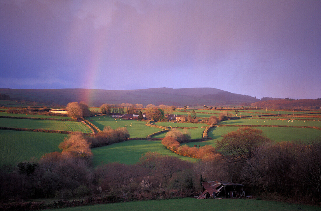 Idyllic landscape with rainbow, West Dartmoor, Devon, England, Great Britain, Europe