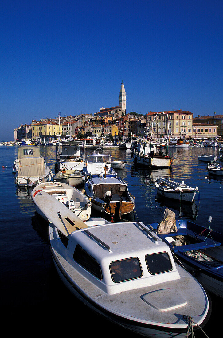Fishing boats in harbor, Rovinj, Istria, Croatia