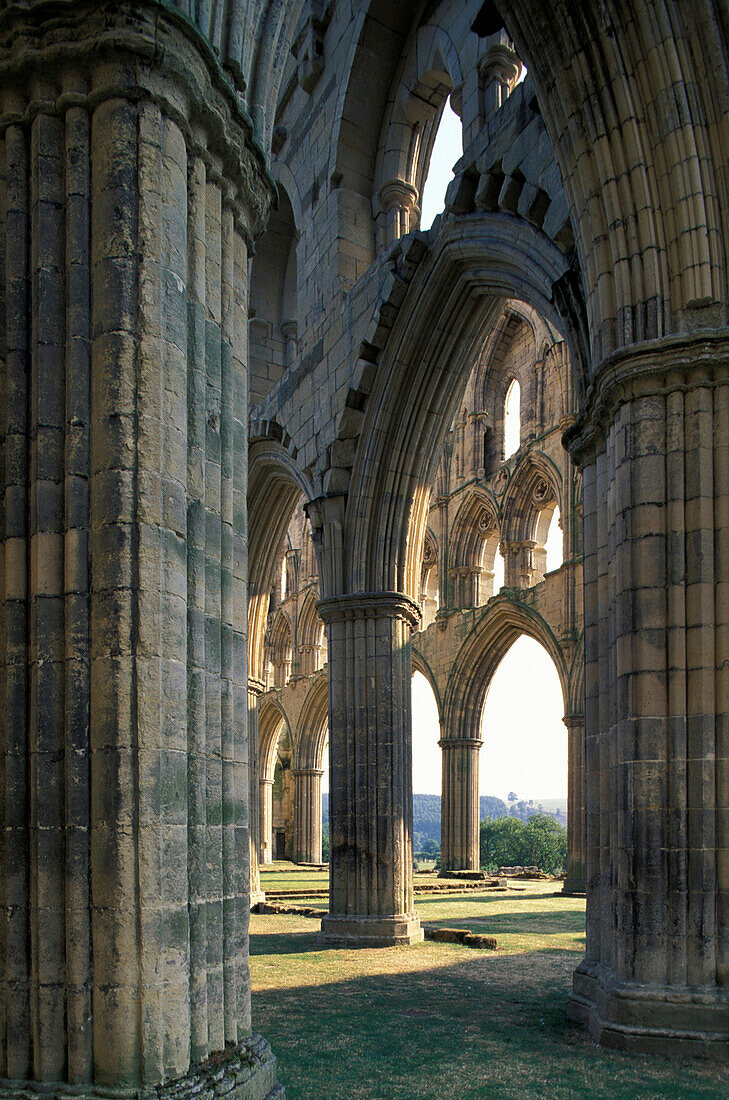Ruine von Kloster Rievaulx, Yorkshire, England, Großbritannien