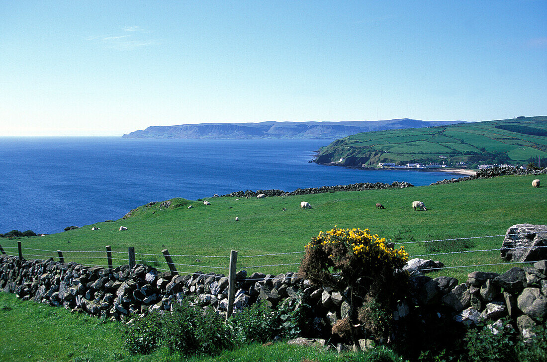 Meerküste und Felder, Torr Head, Antrium, Irland