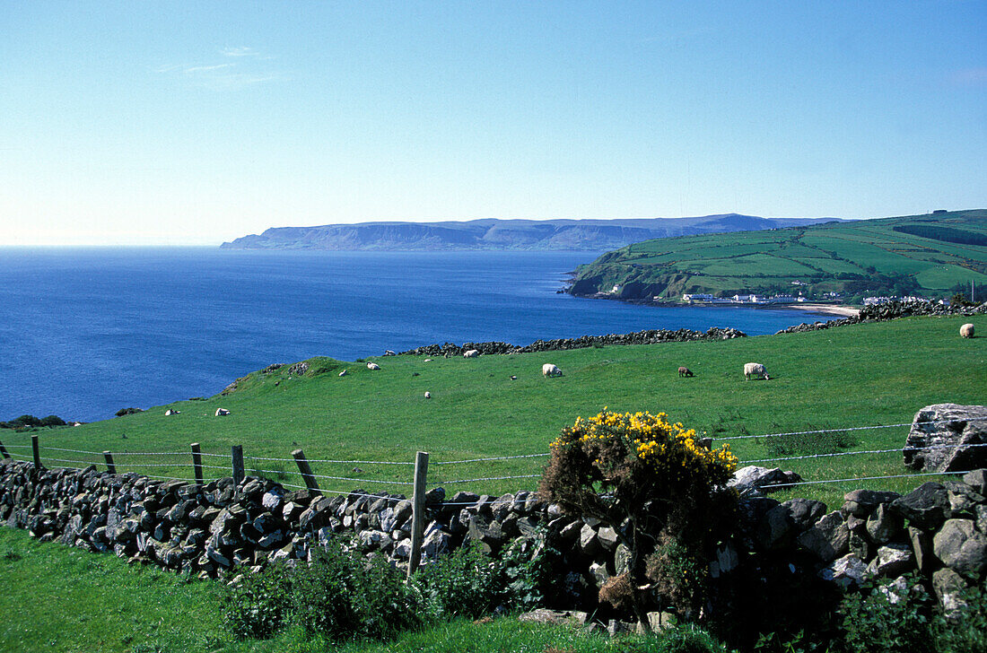 Seacoast with fields, Torr Head, Antrium, Ireland