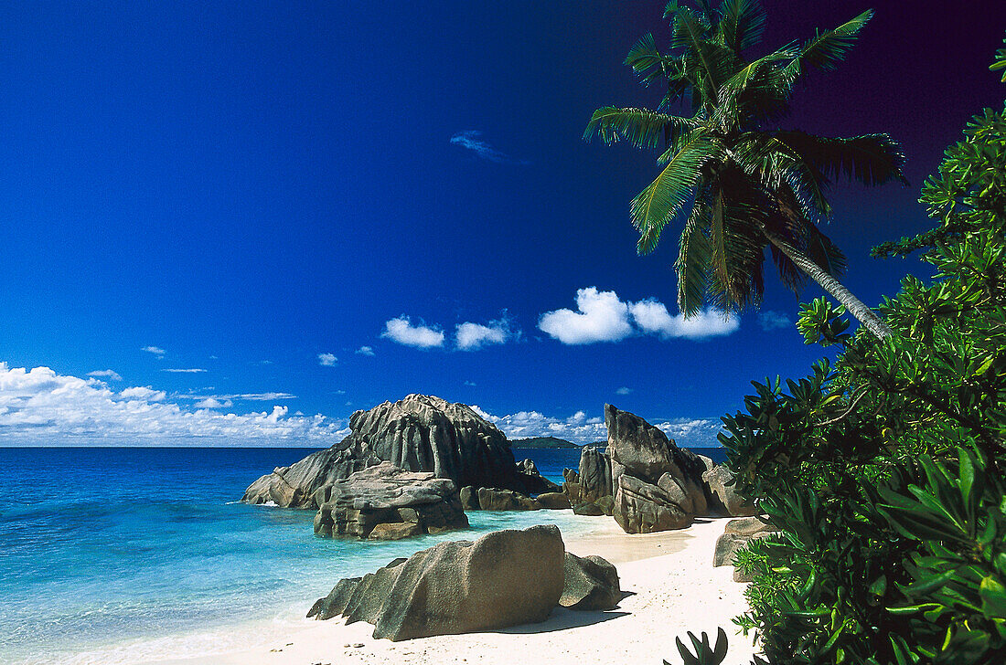 Beach, Anse Patate, La Digue, Seychelles