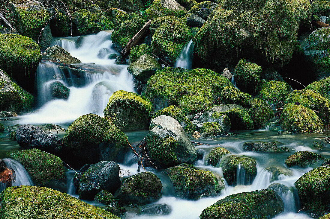 Karst Creek, Strathcona NP, Vancouver Island British Columbia , Kanada