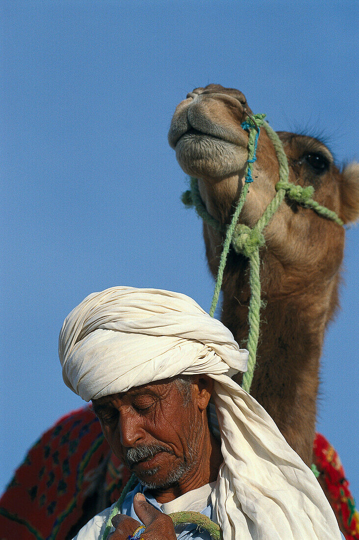 Berber, Dromedar, Tunesien