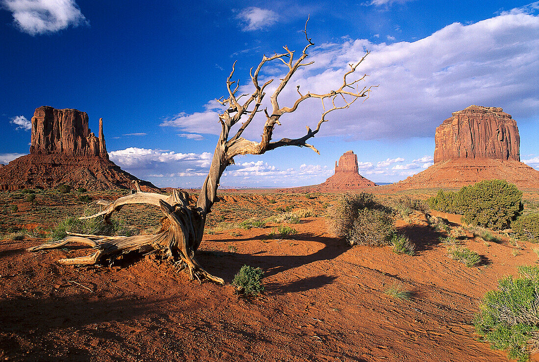 Panorama of Monument Valley showing the Mittens, Arizona, USA