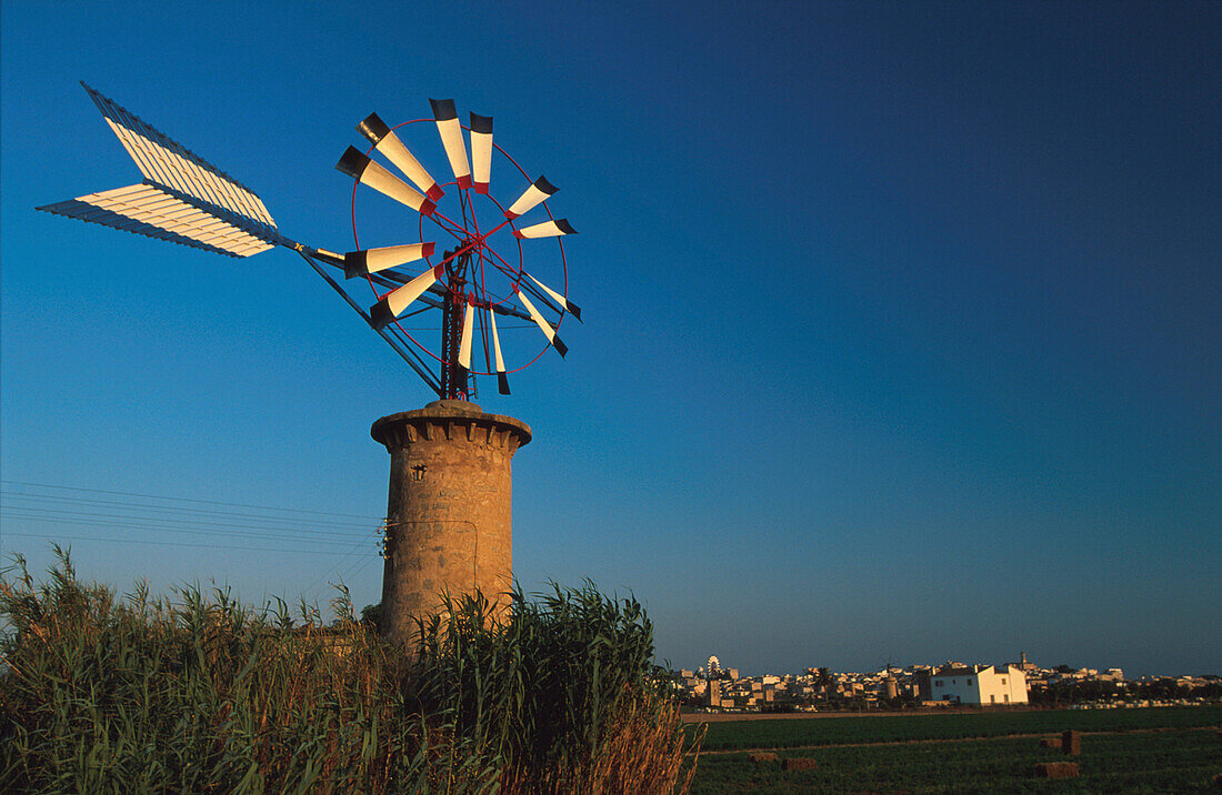Windmühle, Mallorca Balearen, Spanien