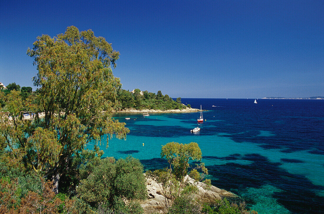 Boats in a bay in the sunlight, Cote d' Azur, Provence, France, Europe