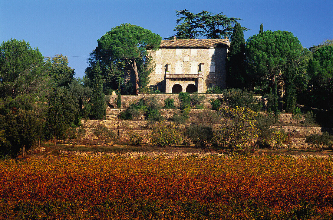 Weinfelder mit Landhaus bei Carces, Cotes de Provence, Var Provence, Frankreich