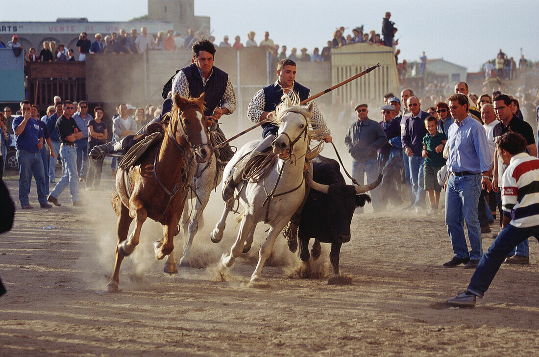 Reiter und Zuschauer beim Fest der Stiere der Camargue, Stiereintreiben, Aigues-Mortes, Gard, Provence, Frankreich, Europa