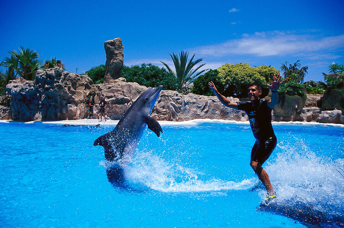 Delfin show, Loro Parque, Puerto de la Cruz, Teneriffa, Kanarische Inseln, Spanien, Europa