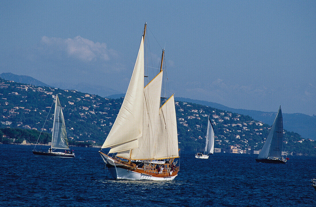 Sailing boats at a regatta, Golfe de St. Tropez, Cote d´Azur,  Provence, France, Europe