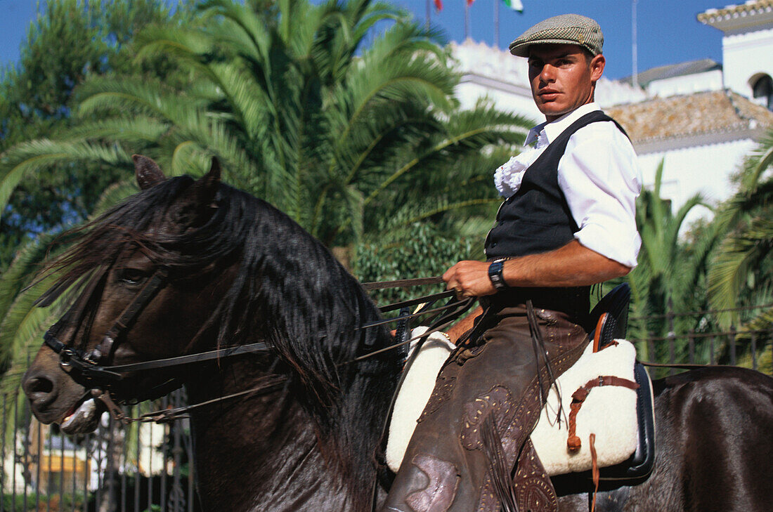 Mann auf einem Pferd, Feria de la Manzanilla, Sanlucar de Barrameda, Cadiz, Andalusien, Spanien, Europa