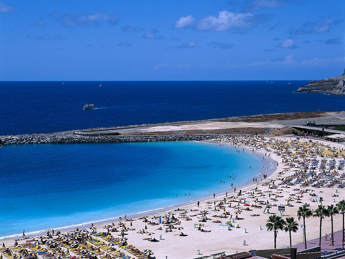 Playa de los Amadores, Puerto de Mogan, Gran Canaria, Kanarische Inseln, Spanien