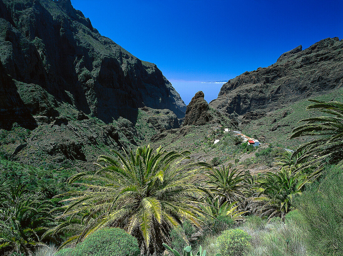 Masca canyon, Masca, Teno mountains, Tenerife, Canary Islands, Spain