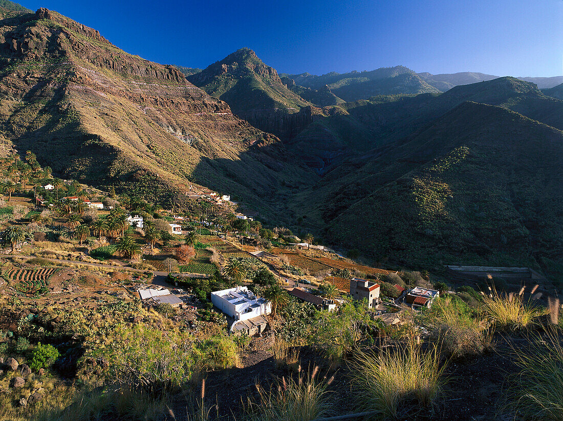 Valley of El Risco de Agaete, Tamadaba Natural Park, Gran Canaria, Canary Islands, Spain