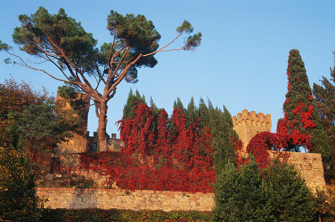 Stadtmauer, Monticchiello Toskana, Italien