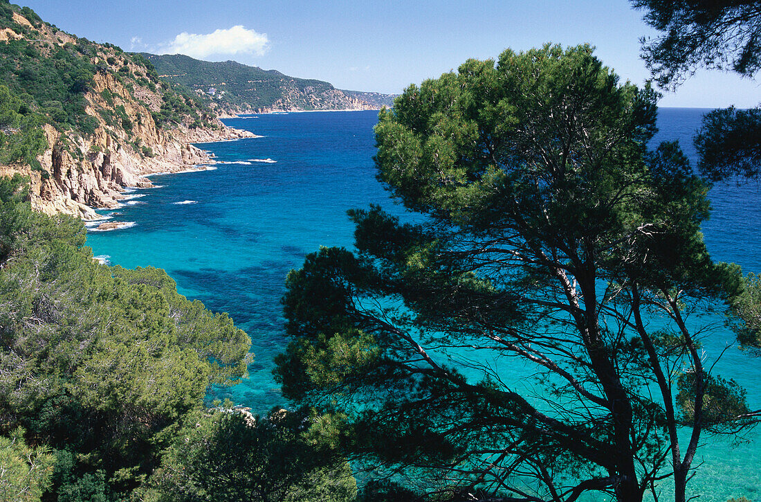 Küstenlandschaft bei Tossa de Mar, Costa Brava, Provinz Girona, Katalonien, Spanien