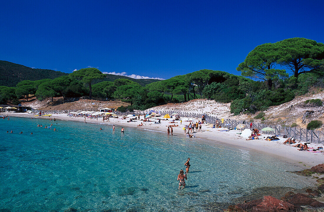 Beach Plage de Palambaggio, east coast near Porto-Vecchio, Corsica, France