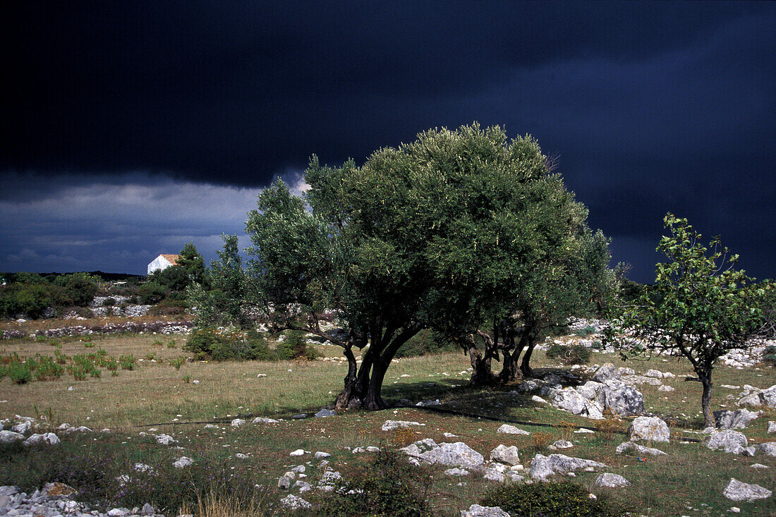 Landscape with thunderstorm, Cres, Kvarner Bay, Croatia