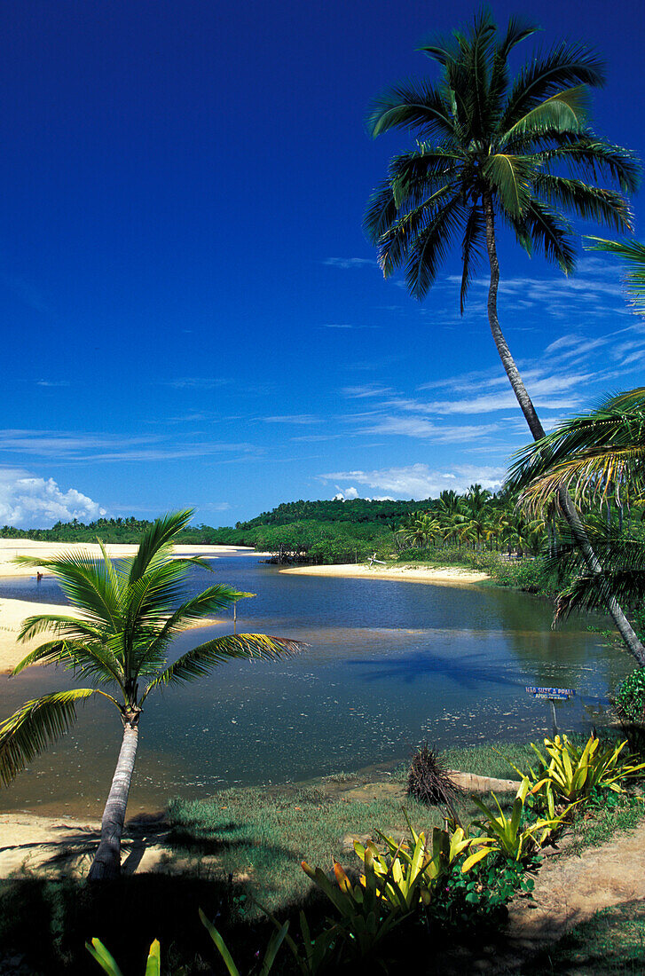 Palm beach, Rio da Barra, Arraial D´Ajuda, Bahia, Brazil