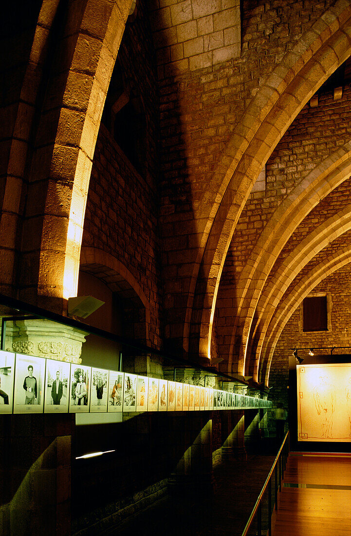 Gewölbe in Salo del Tinell, Museum zur Stadtgeschichte, Museu d´Historia de la Ciutat, Placa del Rei, Barri Gotic, Barcelona, Katelonien, Spanien