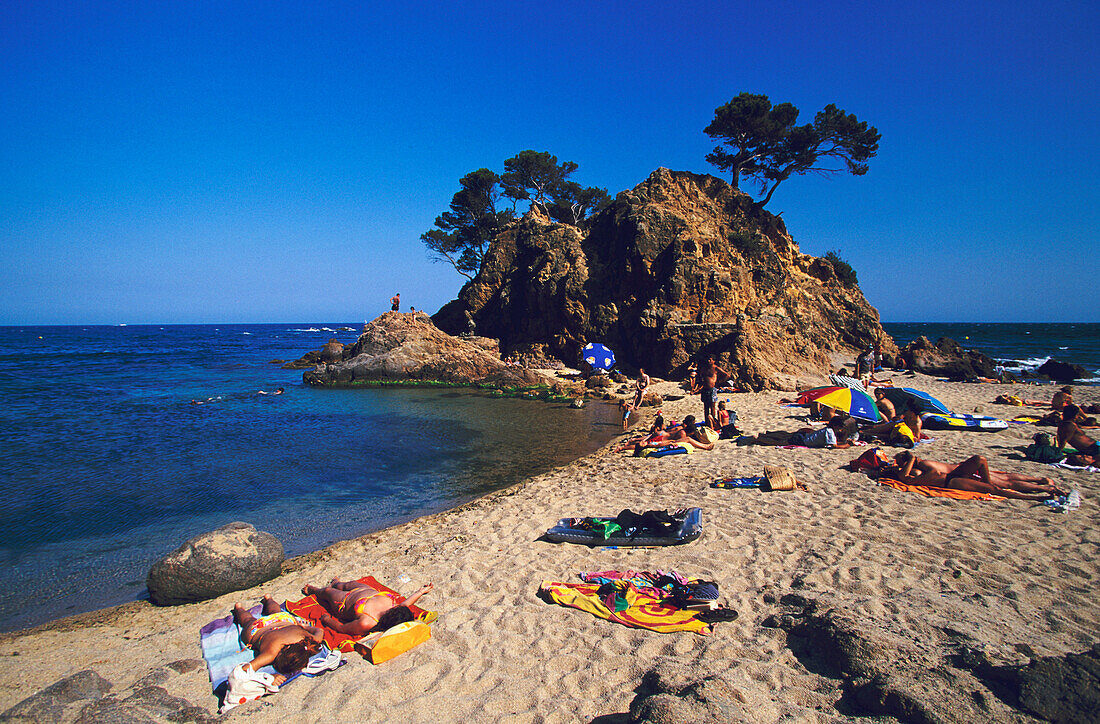 Beach Cliff Costa Brava, Beach, Cap Roig, near Platja d«Aro, Costa Brava, Catalonia, Spain
