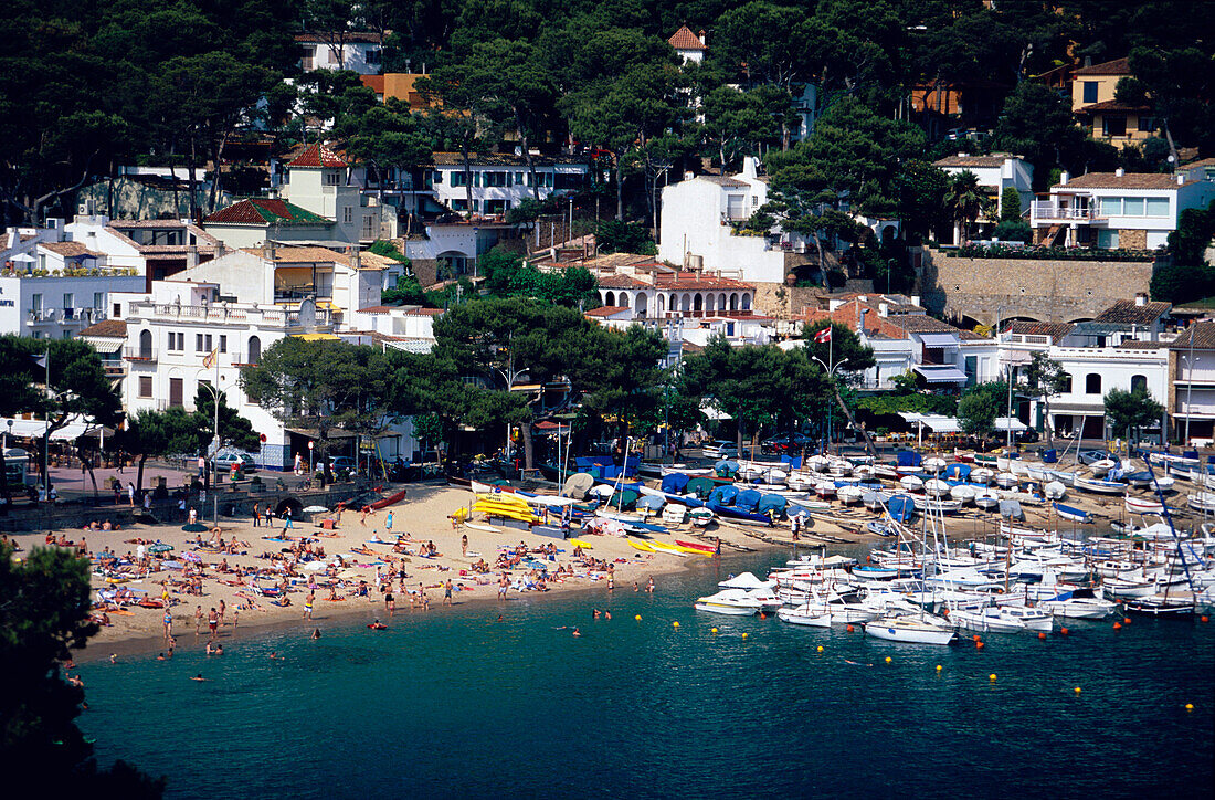 Harbour Llafranc Costa Brava, Harbour Llafranc in Palafrugell, Costa Brava, Catalonia, Spain