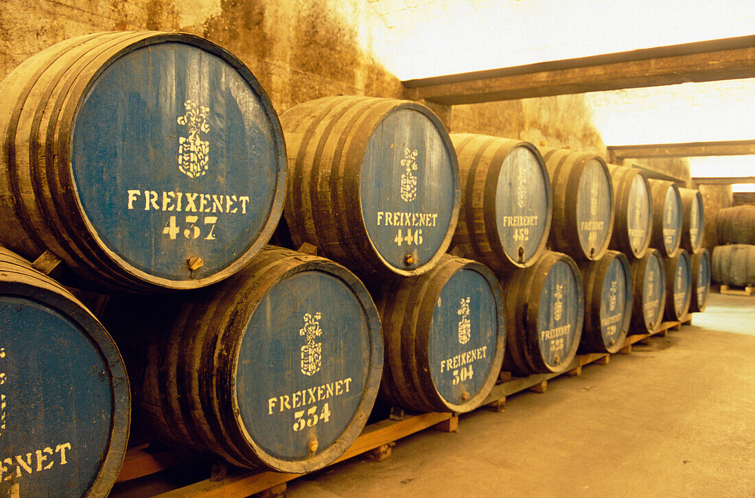 Barrels in the wine cellar, Freixenet, Cava Cellar, Sant Sadurni d'Anola, Catalonia, Spain