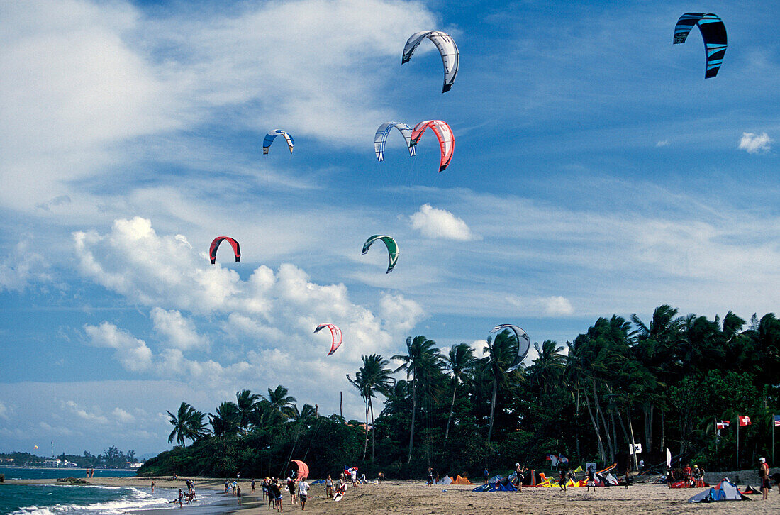 Sky, Kite Surfing, Beach, Kite Surfing on the beach of Cabarete, Dominican Republic